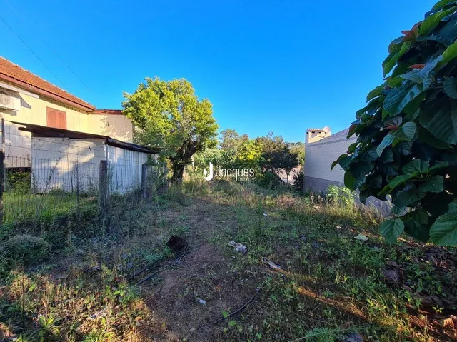 Terreno, foto 3