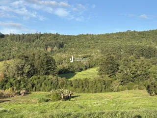 Área rural com 3 dormitórios, foto 6