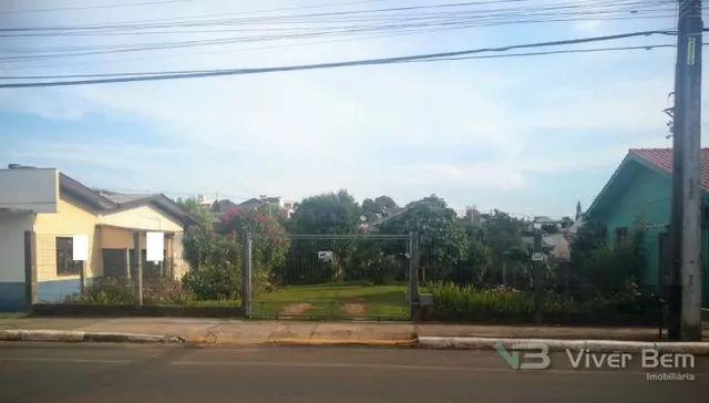 Terreno, foto 3