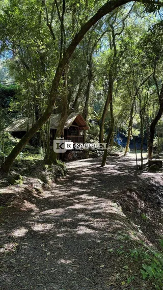 Terreno, foto 3
