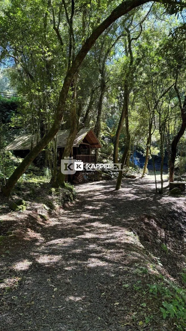 Terreno, foto 3
