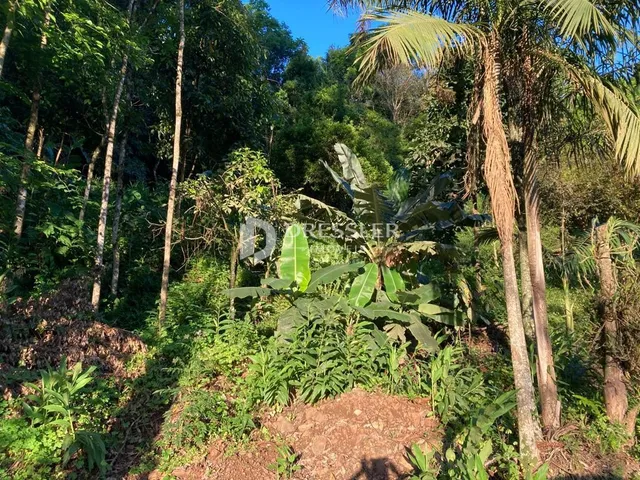 Área rural, foto 3