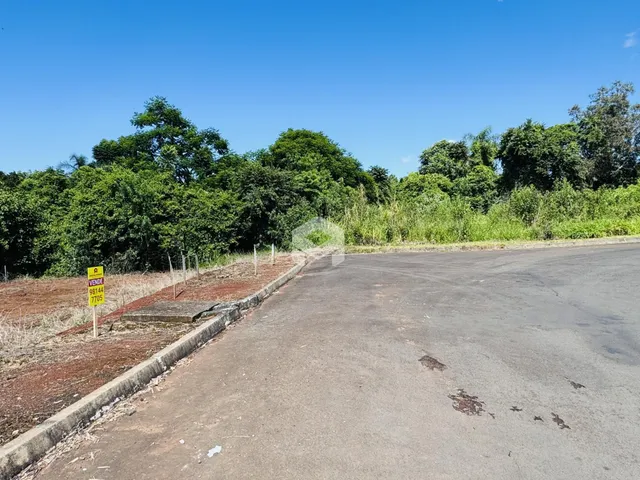 Vista da propriedade com estrada de terra e vegetação densa ao fundo.