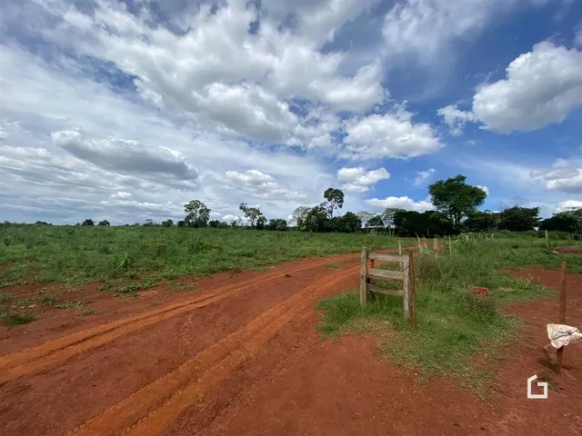 Uma estrada de terra atravessa uma paisagem de vegetação densa sob um céu nublado.