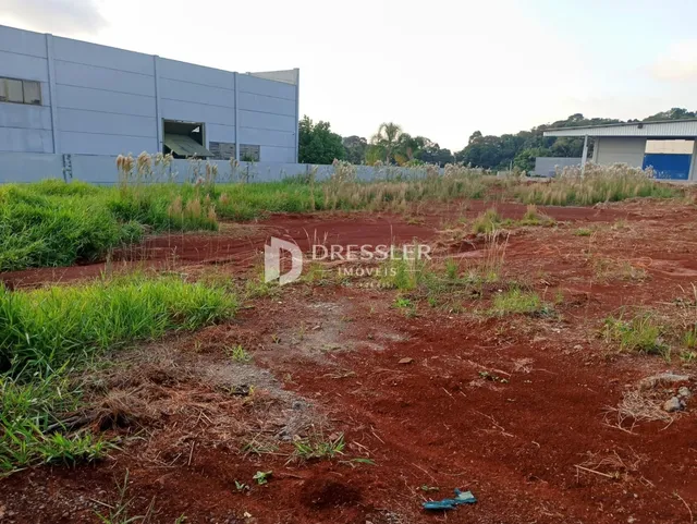 Foto de um terreno com vegetação seca em frente a um prédio industrial.