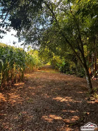 Área rural, foto 8