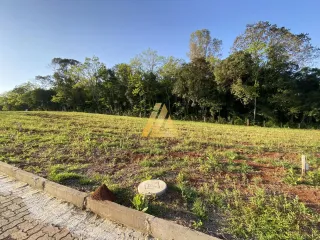 Terreno, foto 5