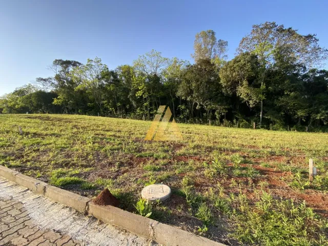 Terreno, foto 5