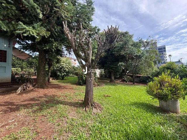 Vista externa de um gramado com árvores e um caminho de terra.