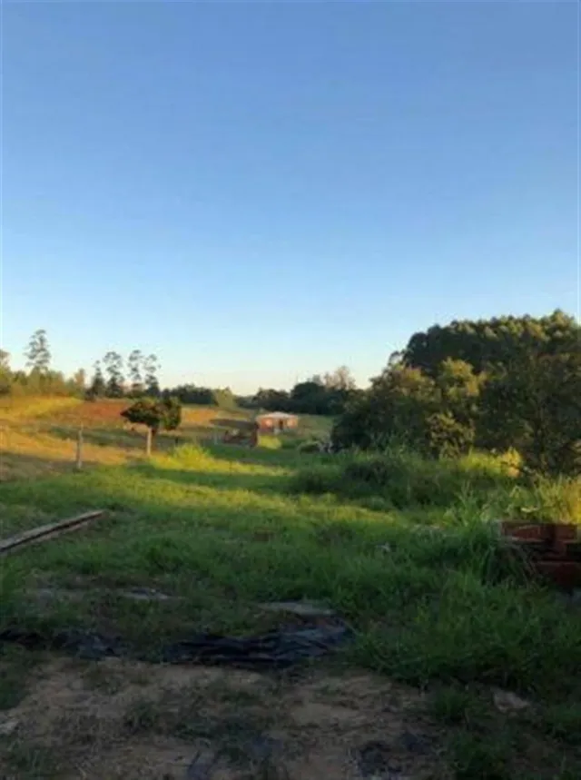Terreno, foto 4