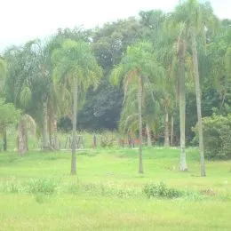 Terreno, foto 7