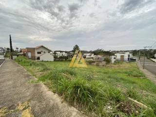 Terreno, foto 2