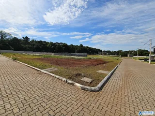 Terreno, foto 5