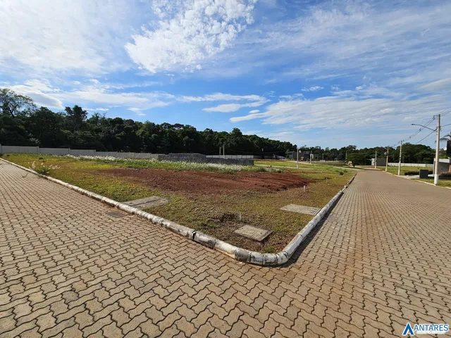 Terreno, foto 5