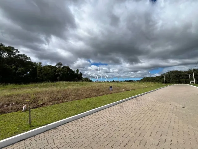 Terreno, foto 5