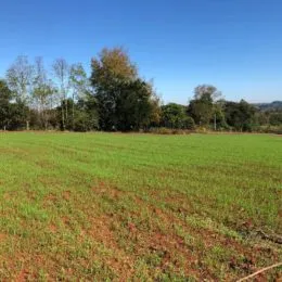 Terreno, foto 4