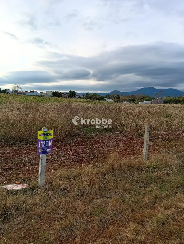 Terreno, foto 3