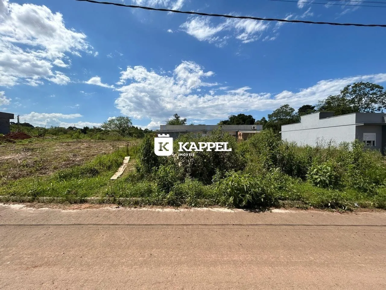 Vista externa de uma propriedade com vegetação densa e uma estrada no primeiro plano.