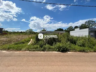 Vista externa de uma propriedade com vegetação densa e uma estrada no primeiro plano.