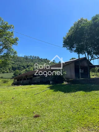 Área rural com 3 dormitórios, foto 9