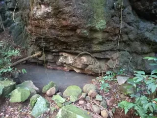 Área rural, foto 2