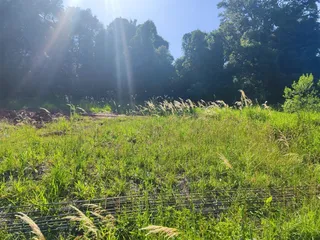 Terreno, foto 7