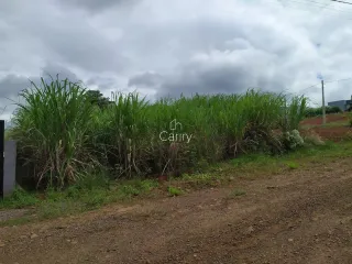 Terreno, foto 3