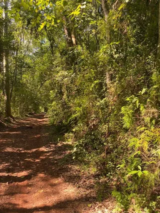 Área rural, foto 7