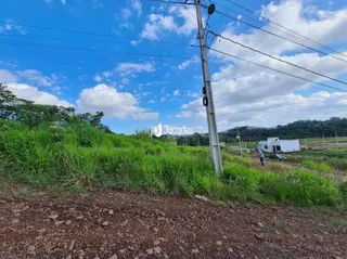 Paisagem de campo com vegetação alta e poste de luz.