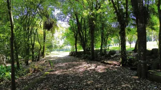 Área rural com 2 dormitórios, foto 9