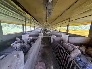 Área rural, foto 12