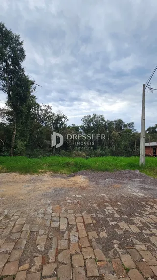 Vista externa de um terreno com vegetação e área pavimentada.