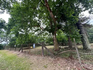 Área rural, foto 2
