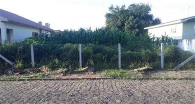 Terreno, foto 2