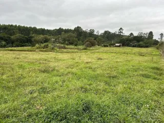 Terreno, foto 2