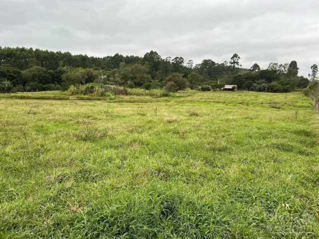 Terreno, foto 2