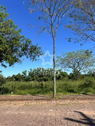 Terreno, foto 2