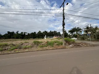 Vista da paisagem com vegetação e estrada em Lajeado, Brasil.