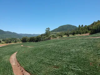Área rural, foto 12