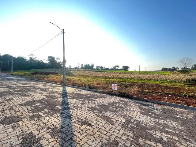 Terreno, foto 3