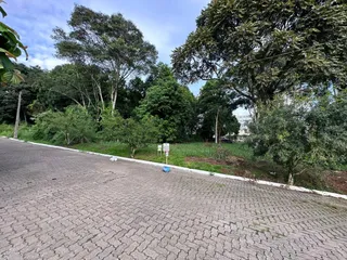 Terreno, foto 1