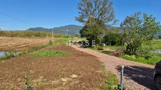 Paisagem de campo com um caminho de terra e vegetação ao fundo.
