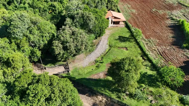 Área rural com 3 dormitórios, foto 3