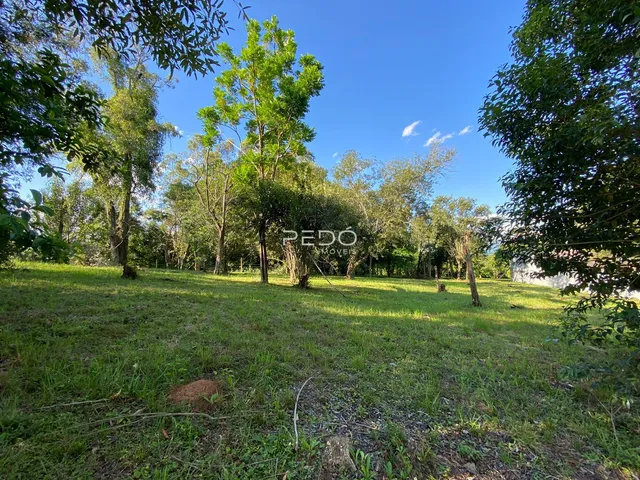 Terreno, foto 3