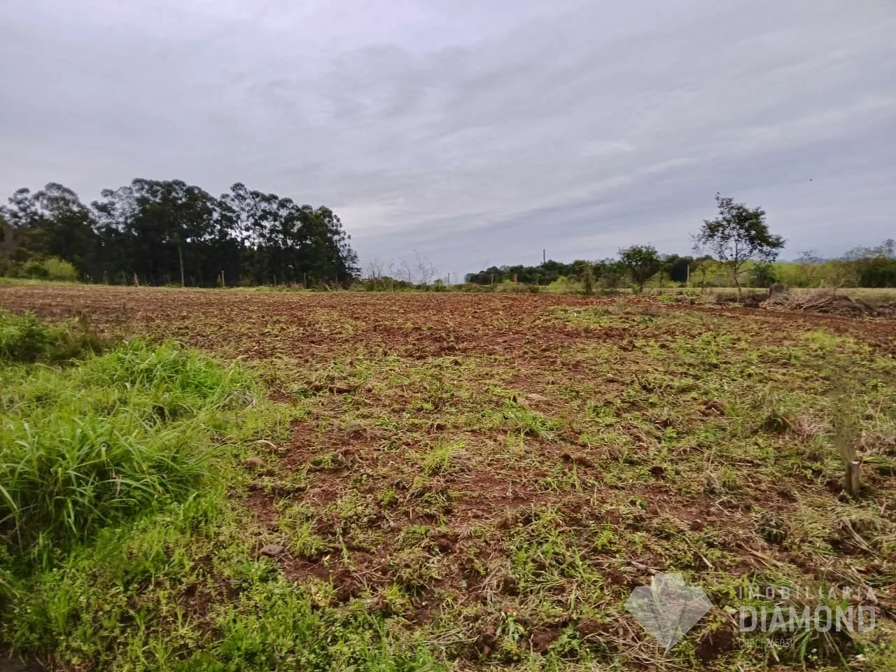 Terreno, foto 1
