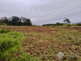 Terreno, foto 1