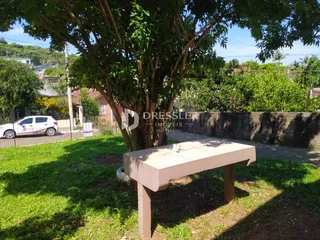 Vista externa de um jardim com uma árvore grande e um banco.
