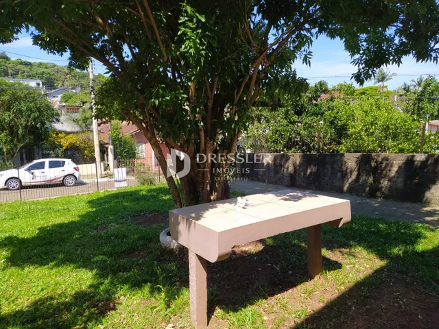 Vista externa de um jardim com uma árvore grande e um banco.