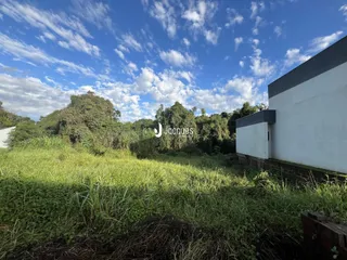 Vista externa de uma propriedade com vegetação alta e um edifício branco.