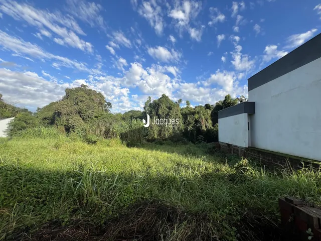 Vista externa de uma propriedade com vegetação alta e um edifício branco.